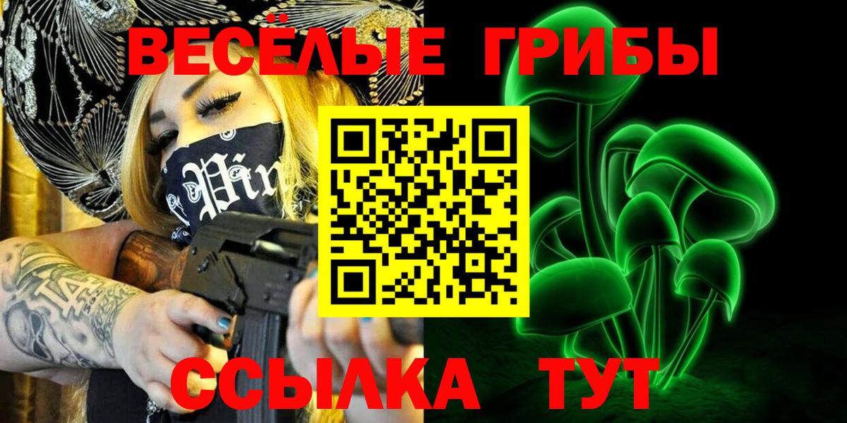 Псилоцибиновые грибы Psilocybine cubensis Фурманов